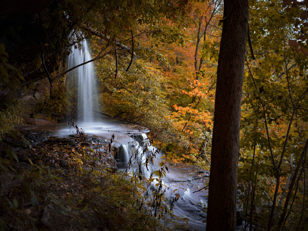 Autumn Falls 4